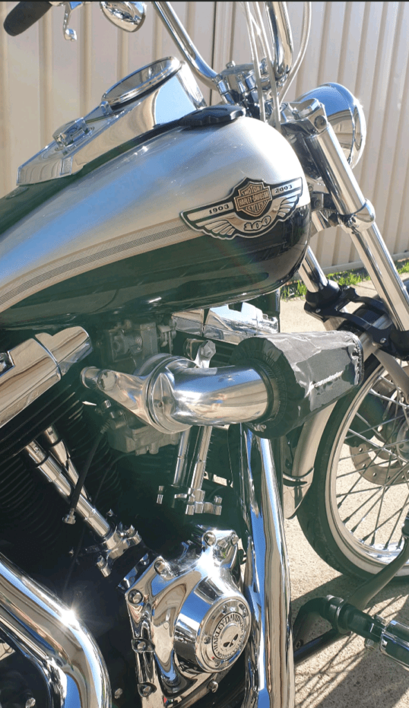 Harley Davidson Twin Cam & Evos with CV Carb or Delphi Fuel Injection