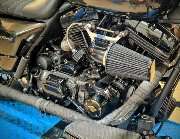 Harley Davidson with ForceWinder Intake on Magneti Marelli Fuel Injection