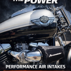Harley Davidson Dominator air cleaner by ForceWinder Performance Intakes