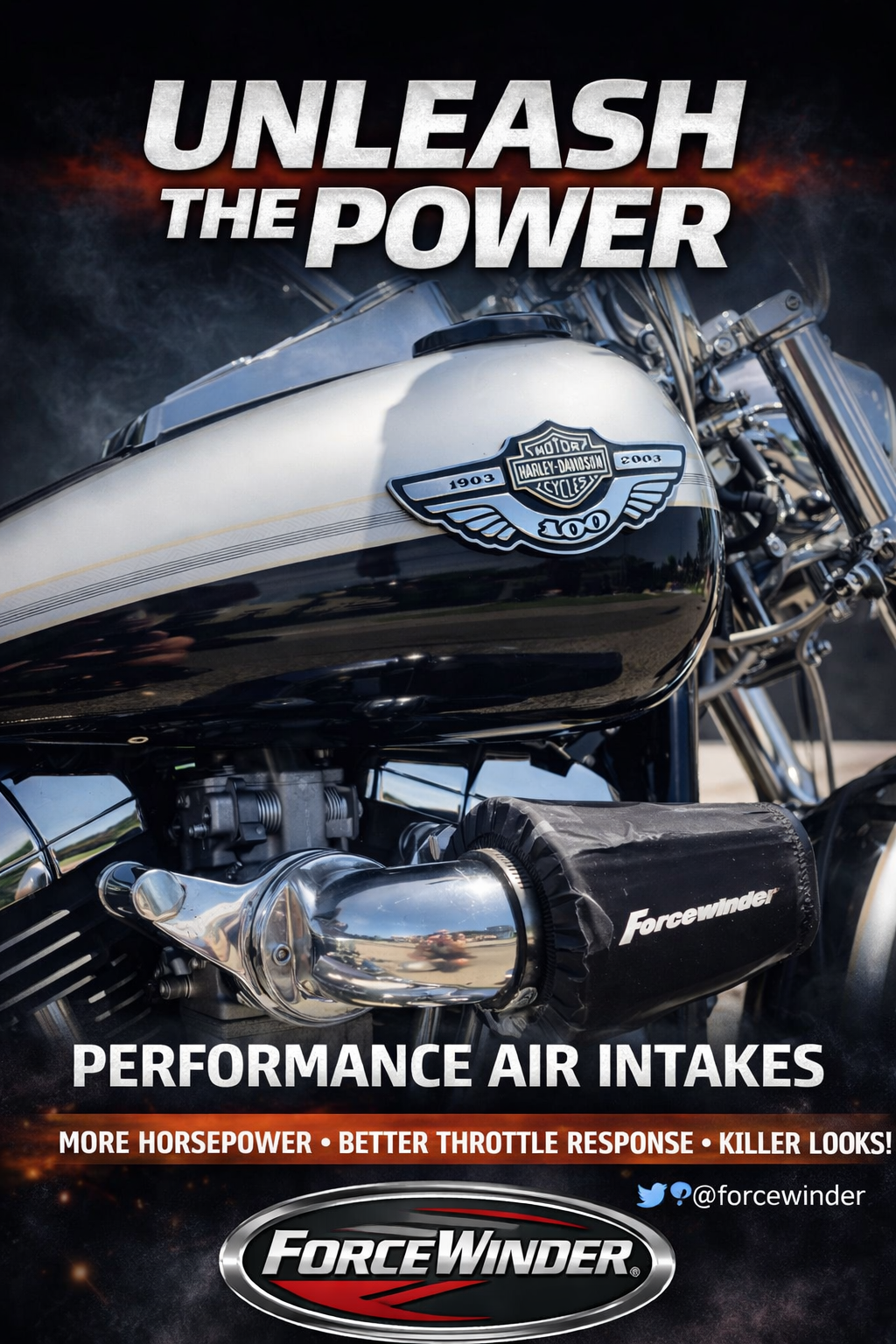 Harley Davidson Dominator air cleaner by ForceWinder Performance Intakes